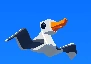 Seagull