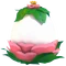 Garden Egg