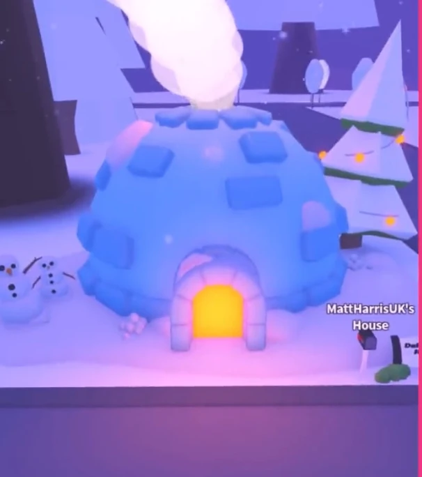Igloo Home