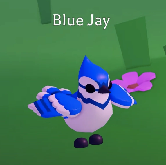 Blue Jay