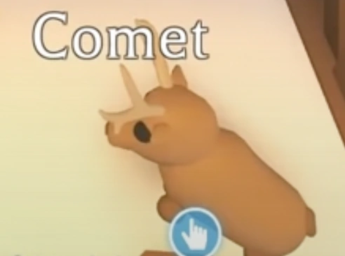 Comet