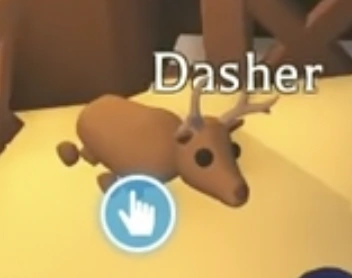 Dasher