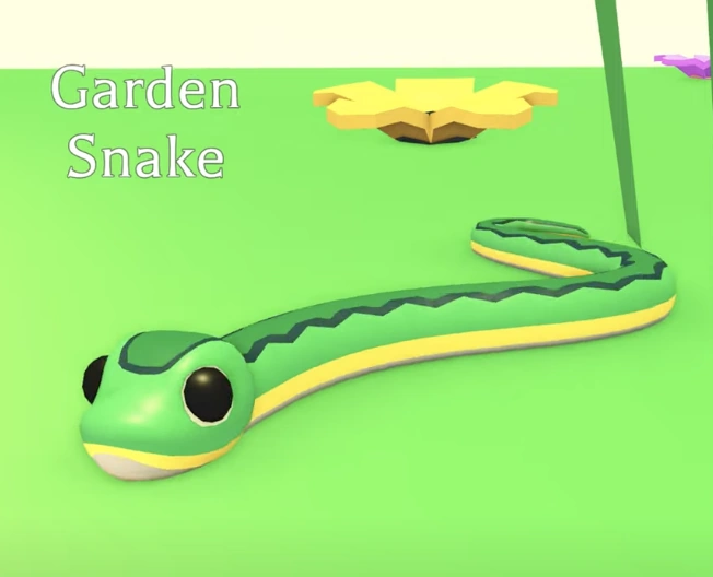 Garden Snake