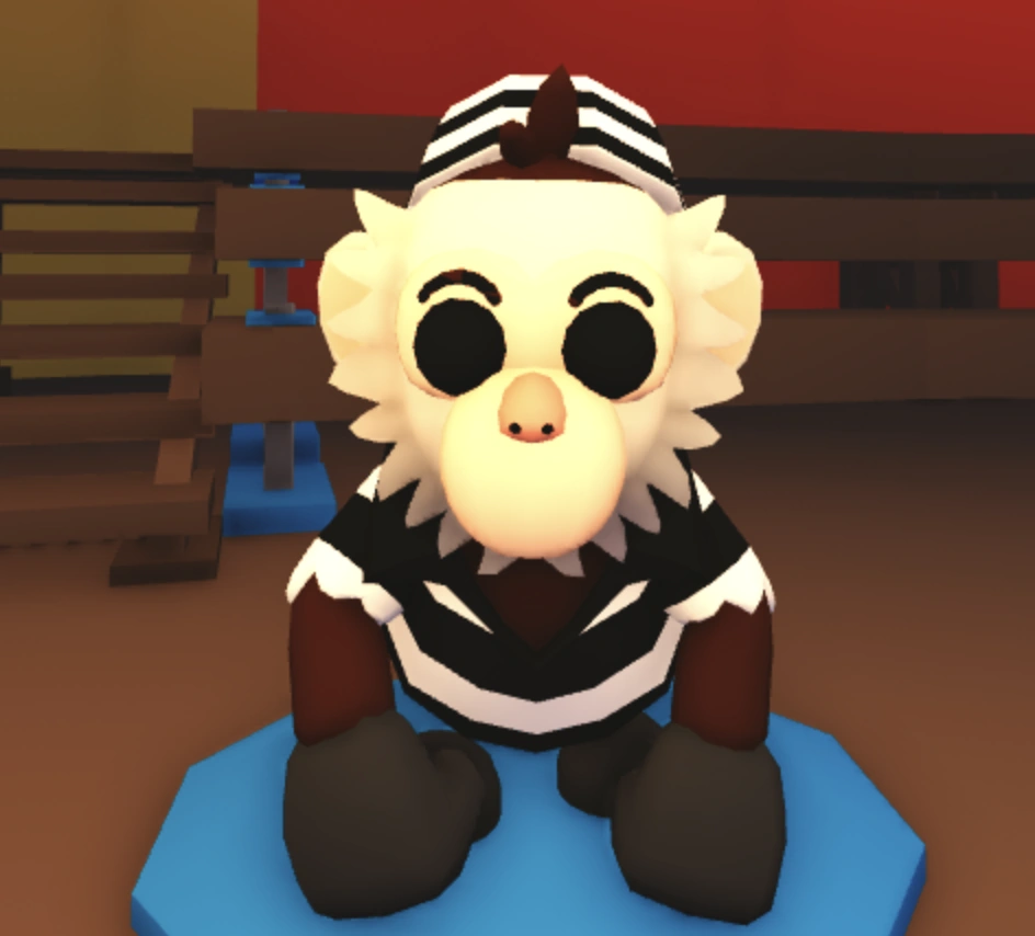 Inmate Capuchin Monkey