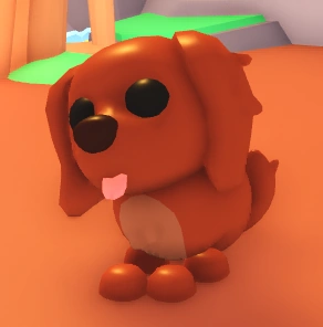 Irish Setter