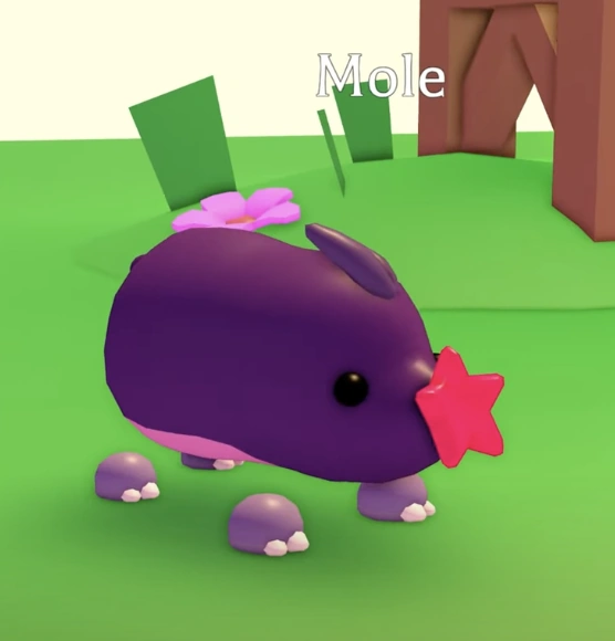 Mole