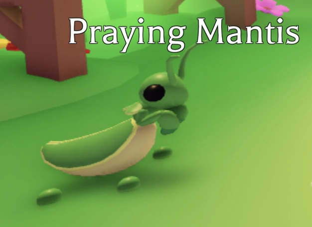 Praying Mantis