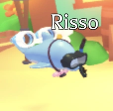Risso