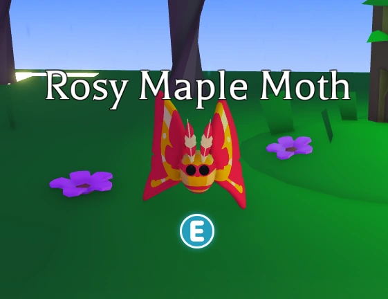 Rosy Maple Moth