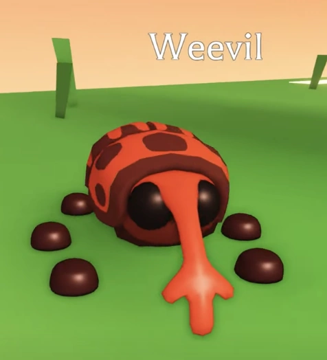 Weevil