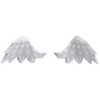 Angel Wings