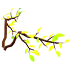 Leaf Wings
