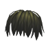 Long Bangs