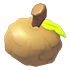 Oakee Cap