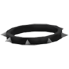 Spike Collar