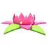 Tropical Flower