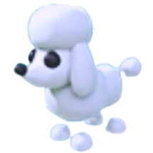 Poodle