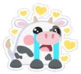 Cow Loves This Sticker