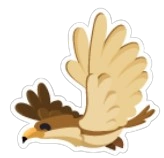 Hawk Sticker