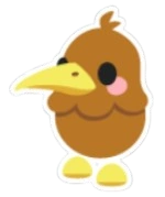 Kiwi Sticker