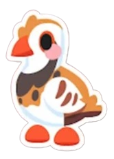 Partridge Sticker