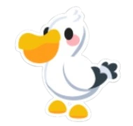 Pelican Sticker