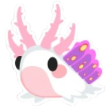 Seaslug Sticker
