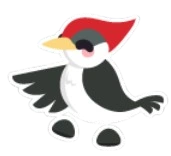 Woodpecker Sticker