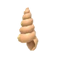 <a href="https://static.wikia.nocookie.net/adoptme/images/0/09/Musical_Conch.png/revision/latest?cb=20211122024237" class="mw-file-description image"><img alt="" src="https://static.wikia.nocookie.net/adoptme/images/0/09/Musical_Conch.png/revision/latest/scale-to-width-down/80?cb=20211122024237" decoding="async" loading="lazy" width="80" height="80" class="thumbimage" data-image-name="Musical Conch.png" data-image-key="Musical_Conch.png" data-relevant="1" data-src="https://static.wikia.nocookie.net/adoptme/images/0/09/Musical_Conch.png/revision/latest/scale-to-width-down/80?cb=20211122024237" /></a> Musical Conch