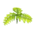 <a href="https://static.wikia.nocookie.net/adoptme/images/3/3c/Fern_Propeller.png/revision/latest?cb=20230330160131" class="mw-file-description image"><img alt="" src="https://static.wikia.nocookie.net/adoptme/images/3/3c/Fern_Propeller.png/revision/latest/scale-to-width-down/72?cb=20230330160131" decoding="async" loading="lazy" width="72" height="72" class="thumbimage" data-image-name="Fern Propeller.png" data-image-key="Fern_Propeller.png" data-relevant="0" data-src="https://static.wikia.nocookie.net/adoptme/images/3/3c/Fern_Propeller.png/revision/latest/scale-to-width-down/72?cb=20230330160131" /></a> Fern Propeller