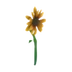 <a href="https://static.wikia.nocookie.net/adoptme/images/4/47/Sunflower_AM.png/revision/latest?cb=20201116181314" class="mw-file-description image"><img alt="" src="https://static.wikia.nocookie.net/adoptme/images/4/47/Sunflower_AM.png/revision/latest/scale-to-width-down/72?cb=20201116181314" decoding="async" loading="lazy" width="72" height="72" class="thumbimage" data-image-name="Sunflower AM.png" data-image-key="Sunflower_AM.png" data-relevant="1" data-src="https://static.wikia.nocookie.net/adoptme/images/4/47/Sunflower_AM.png/revision/latest/scale-to-width-down/72?cb=20201116181314" /></a> Sunflower Rattle