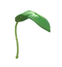 <a href="https://static.wikia.nocookie.net/adoptme/images/f/f6/Banana_Leaf_Balloon.png/revision/latest?cb=20230316155821" class="mw-file-description image"><img alt="" src="https://static.wikia.nocookie.net/adoptme/images/f/f6/Banana_Leaf_Balloon.png/revision/latest/scale-to-width-down/70?cb=20230316155821" decoding="async" loading="lazy" width="70" height="75" class="thumbimage" data-image-name="Banana Leaf Balloon.png" data-image-key="Banana_Leaf_Balloon.png" data-relevant="1" data-src="https://static.wikia.nocookie.net/adoptme/images/f/f6/Banana_Leaf_Balloon.png/revision/latest/scale-to-width-down/70?cb=20230316155821" /></a> Banana Leaf Balloon