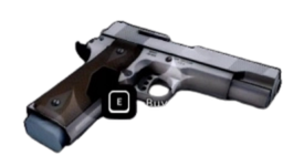 Gun