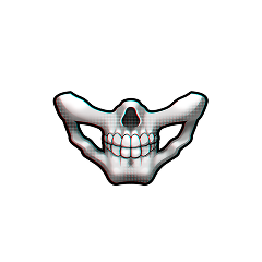 Jaw Skull