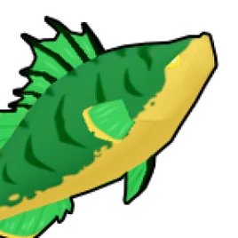 Kelp Bass