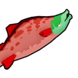 Saltwater Salmon