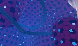 Dimensional Shift