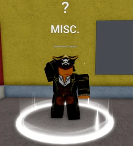 Experienced Captain