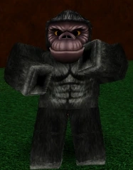 Gorilla