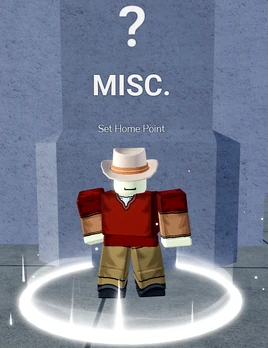 Set Home Point