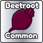 Beetroot