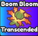 Boom Bloom