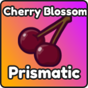 Cherry Blossom