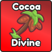 Cocoa