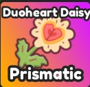 Duoheart Daisy