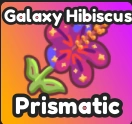 Galaxy Hibiscus