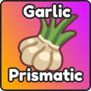 Garlic