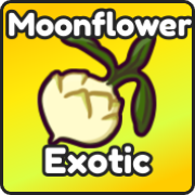 Moonflower