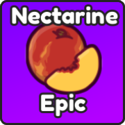Nectarine