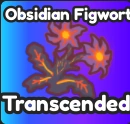 Obsidian Figwort